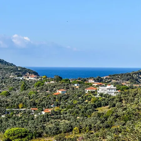View Holiday home *