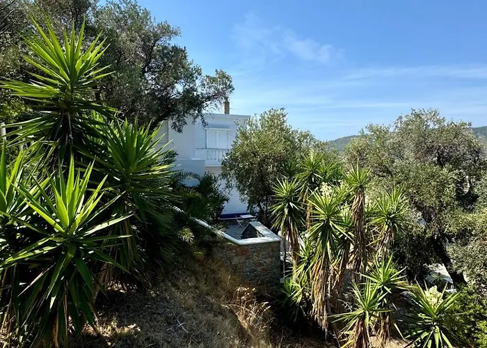 Casa de Férias View