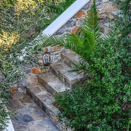 View Semesterbostad Punta