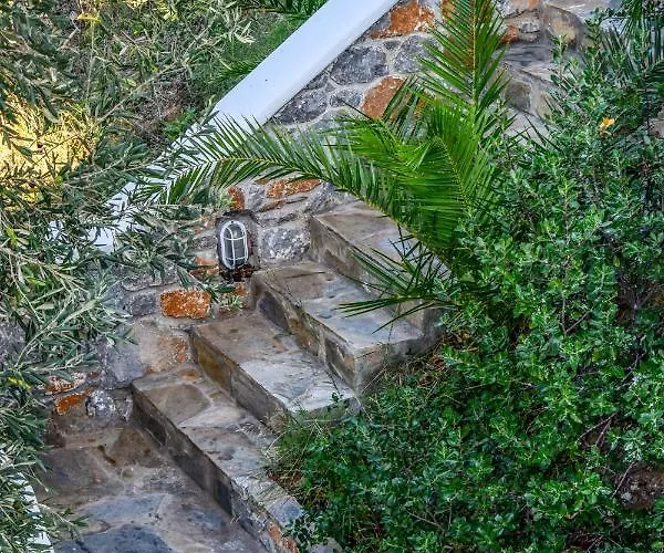 View Holiday home Punta